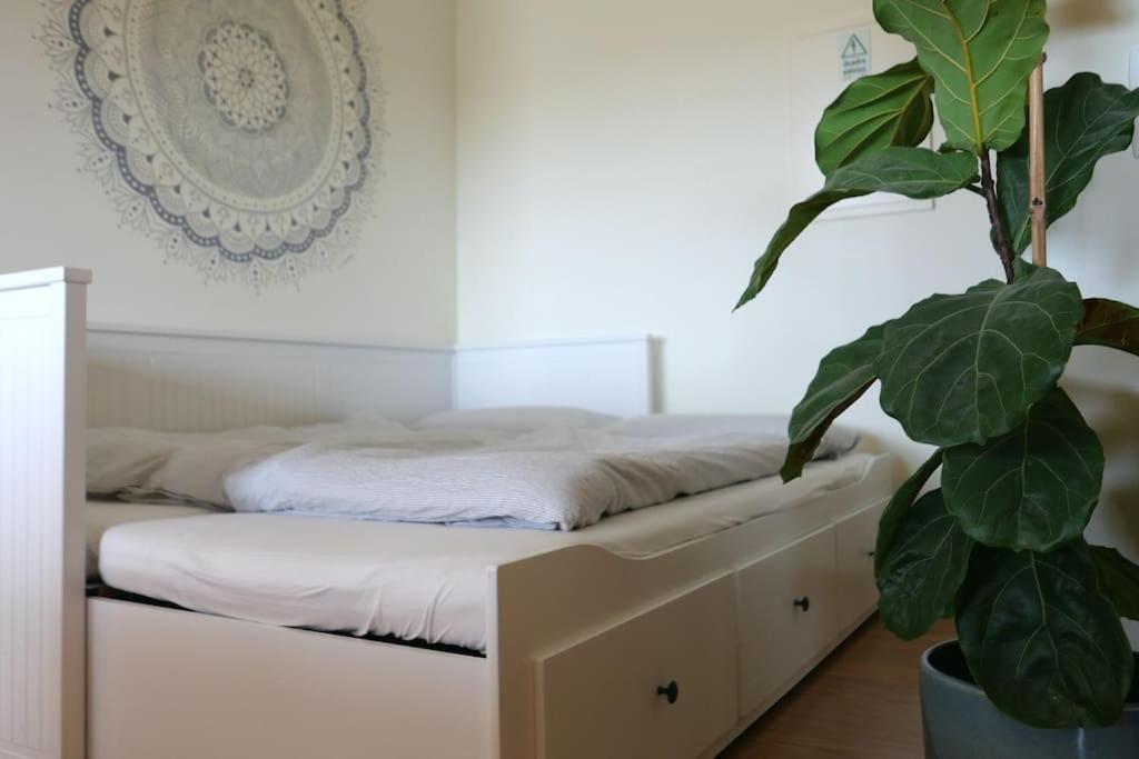 Panorama Apartment Sagres *Pool* Екстер'єр фото